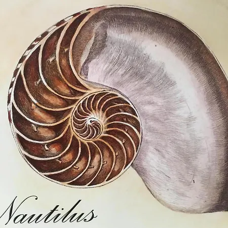Holiday home Casa Vacanze Nautilus *